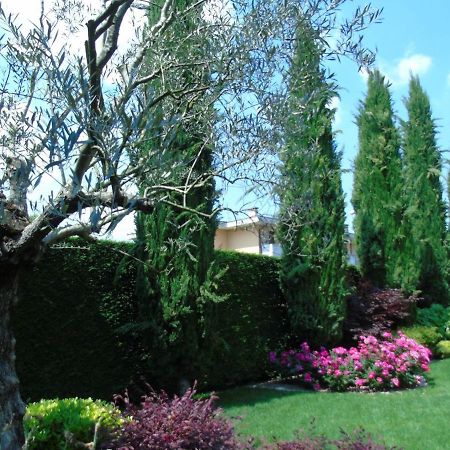 Ai Cipressi B&B Mestrino Exterior photo